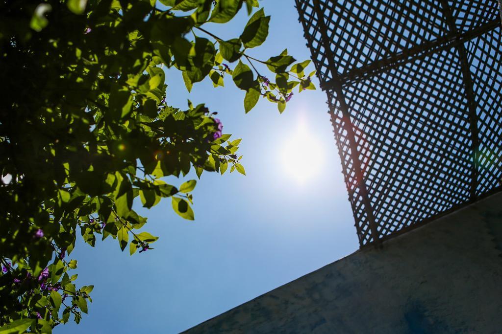 Riad Jardin Des Biehn Fez Exterior foto