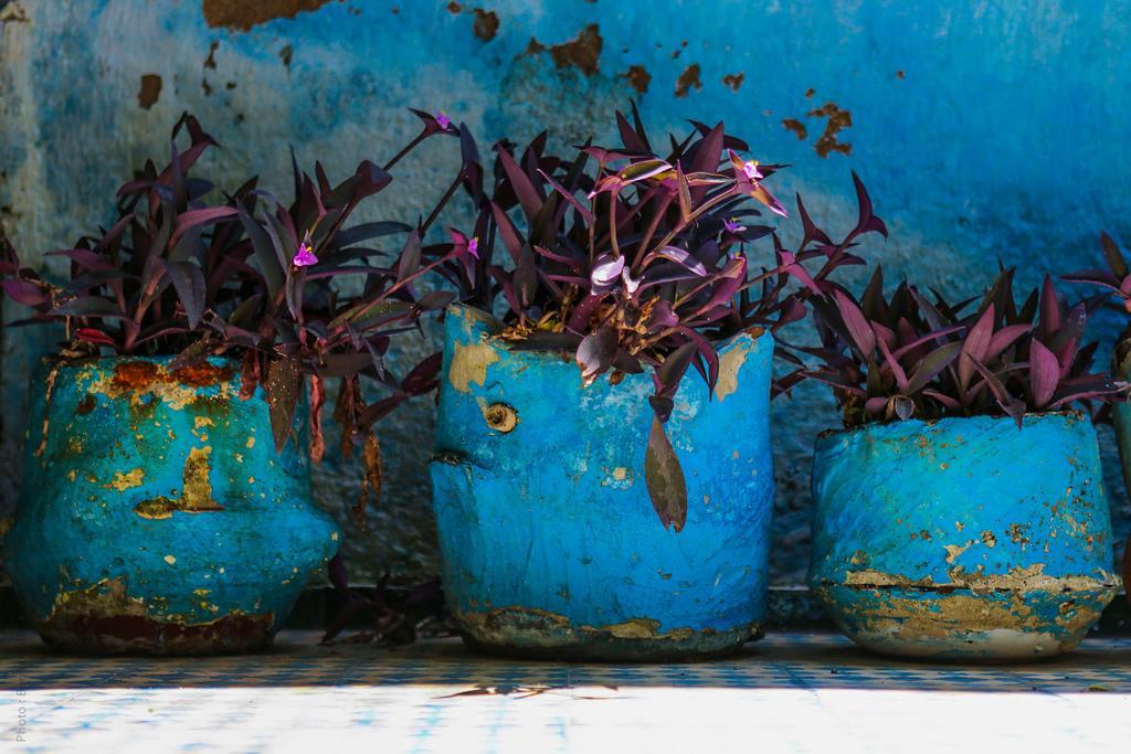Riad Jardin Des Biehn Fez Exterior foto