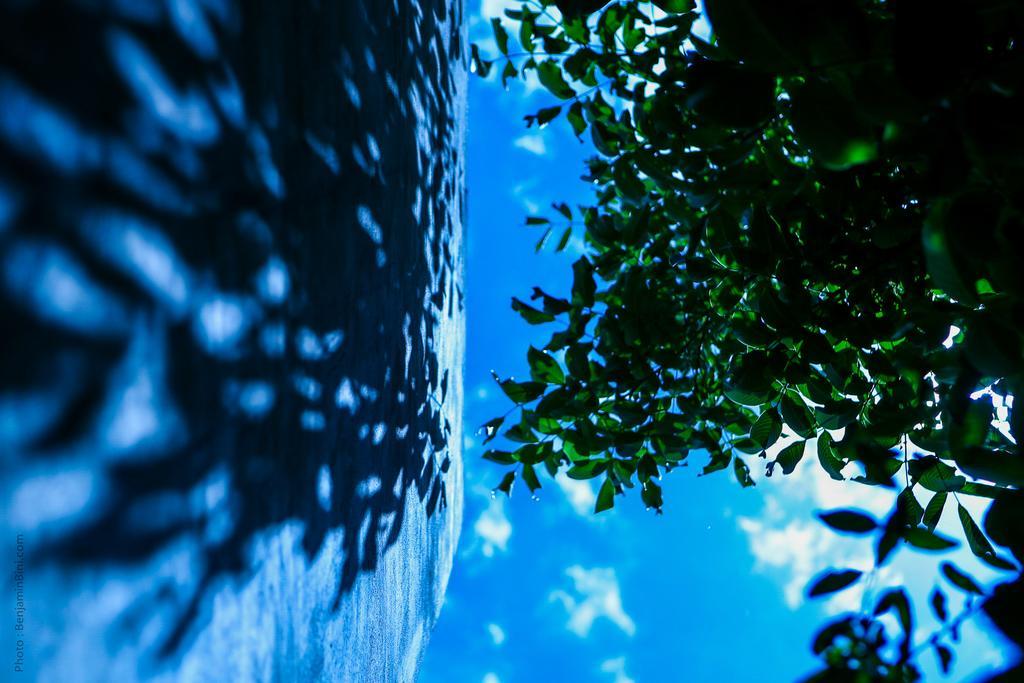 Riad Jardin Des Biehn Fez Exterior foto