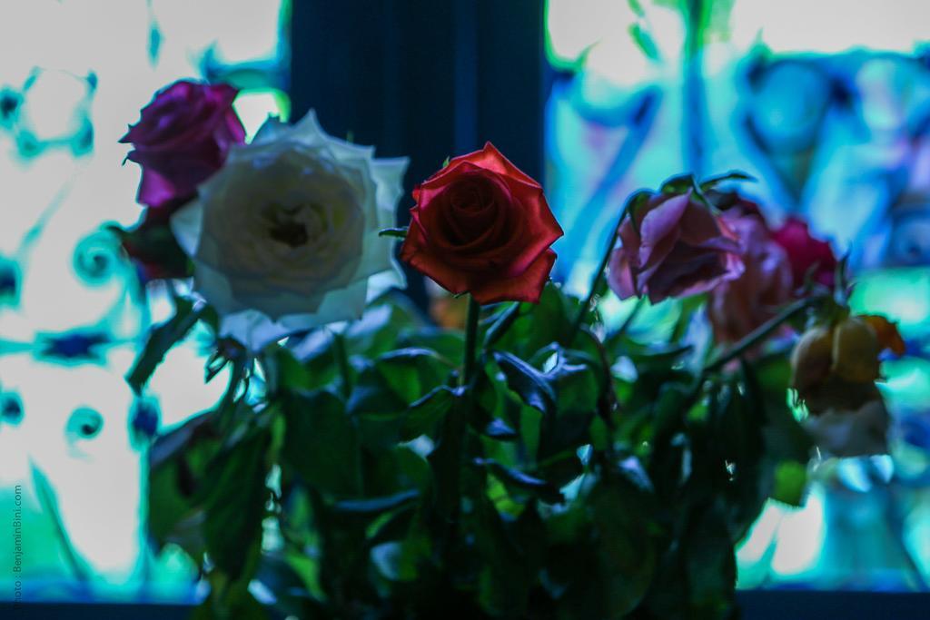 Riad Jardin Des Biehn Fez Exterior foto